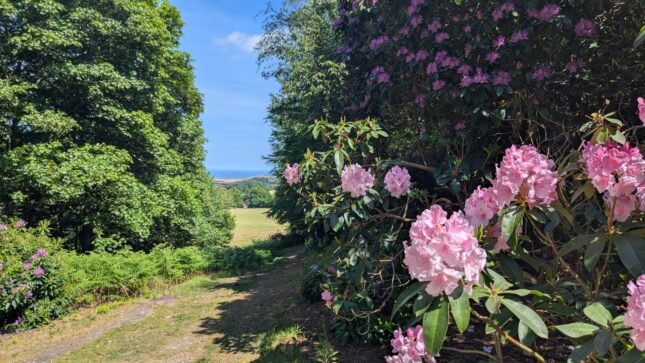 View from Sheringham Park towards the sea