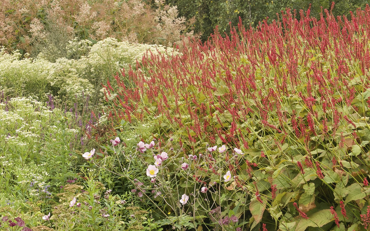 Planting by Piet Oudorf
