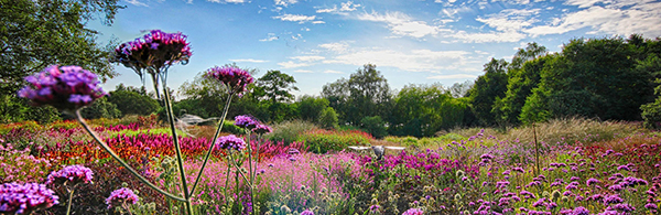 Pensthorpe