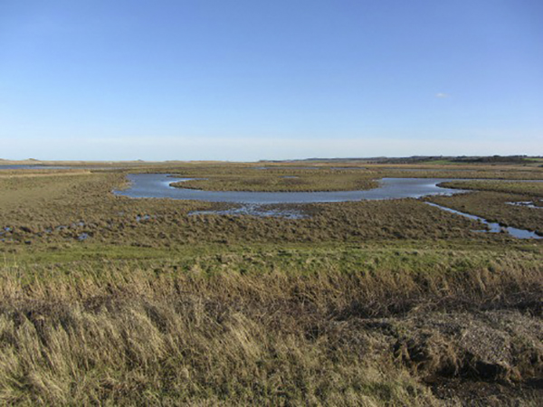 Norfolk marshes