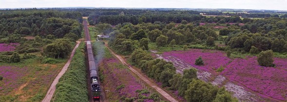 Kelling Heath